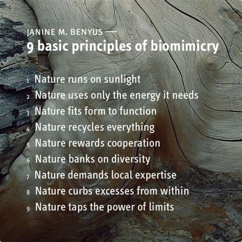 9 Basic Principles Of Biomimicry Something To Live By Knowledge To