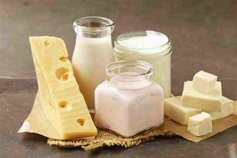 Productos L Cteos Yogur Y Otros Derivados De La Leche