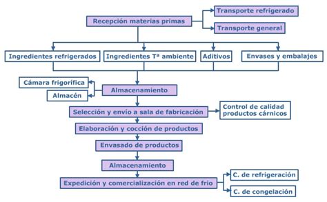 Productos Diagrama De Flujo De Recepcion De Materia Prima Material