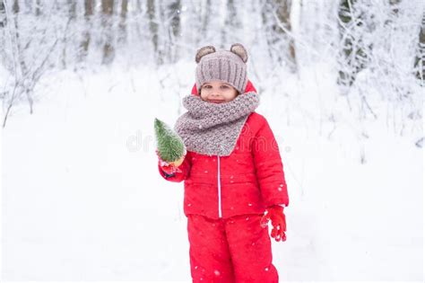 Cute Kid Girl In Pink Snowsuit And Knitted Scarf Holds Little Christmas