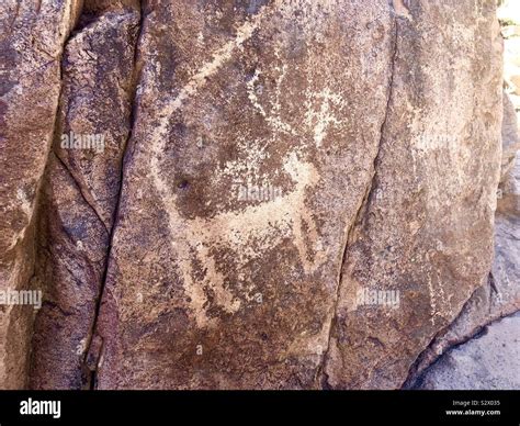 Native American Petroglyphs Along The Hieroglyphics Trail In The