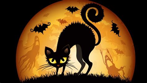 Download Halloween Cats Bats Hd Wallpaper All By Jonathanr Halloween Cat Wallpaper