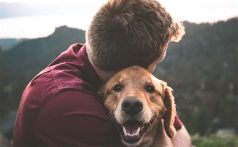 Hombres Que Aman A Los Perros Son Más Tiernos Y Mejores Parejas