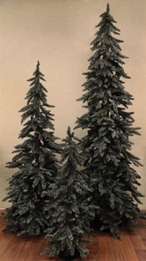 5 Tree Is 120 Alpine Christmas Tree Types Of Christmas Trees