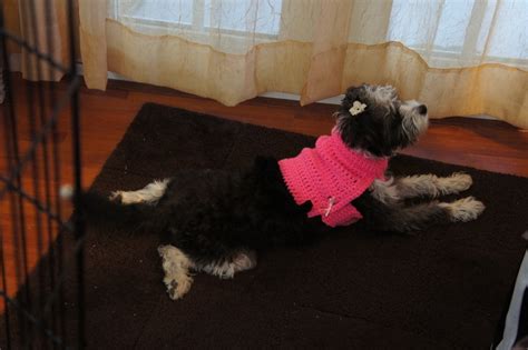 Elizabethan collars are the most commonly used protective device. Doggy Dress · How To Make A Dog Outfit · Crochet on Cut ...