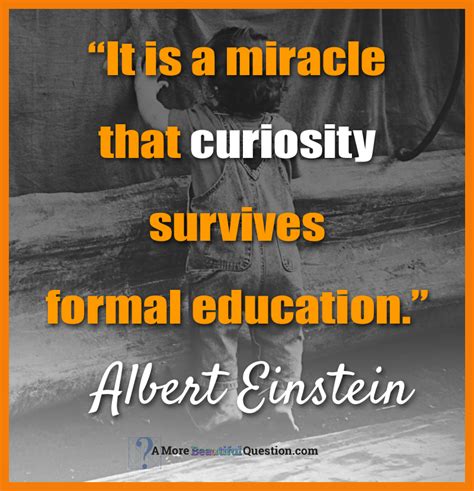 Einstein And Questioning ~ A More Beautiful Question By