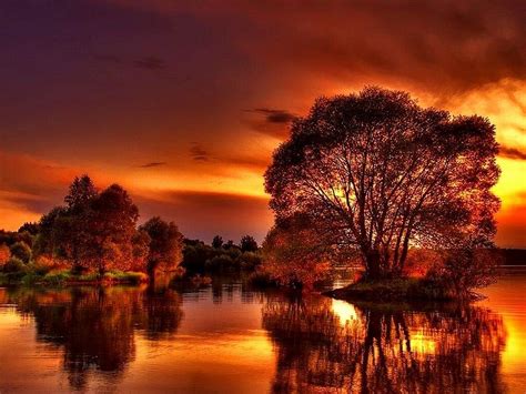 Copper Eve Reflection Lake Sky Trees Large Wallpaper Pictures Hd