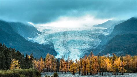 Exit Glacier In Kenai Fjords National Park National Park Trips