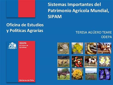 Sistemas Importantes Del Patrimonio Agrcola Mundial Sipam Oficina