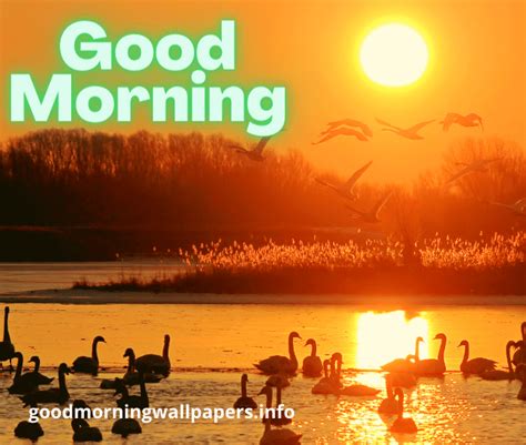 150 Good Morning Sunrise Images Hd Photos And Nature Wallpapers