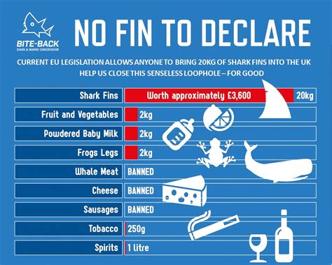 End The Importation Of Shark Fins To Uk Bite Back