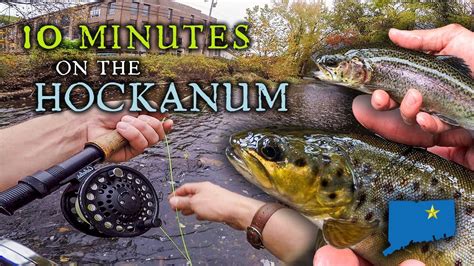Fast Fly Fishing For Trout On A New England Stream Hockanum River