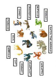 Eric Carle worksheets