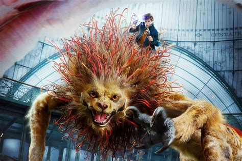 ‘fantastic Beasts Of Harry Potter To Go On Display At The Natural