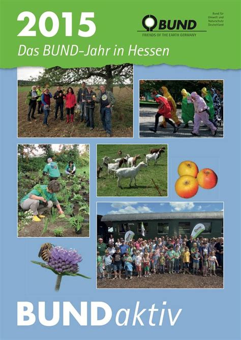 Die waldpflege stand dieses berichtsjahr im vordergrund. BUNDaktiv Jahresbericht 2015 BUND Hessen