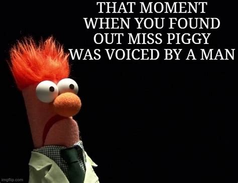 Muppet Meme