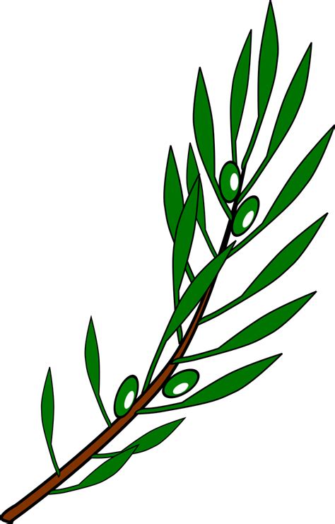 The Olive Branch Is A Symbol Of Peace Or Victory Amadscientist Mark