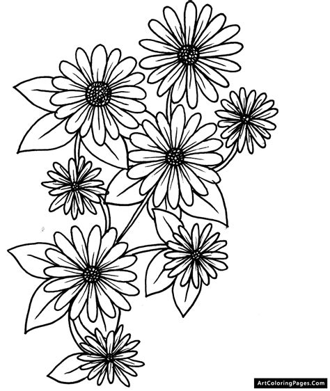 Daisies Coloring Pages Coloring Home