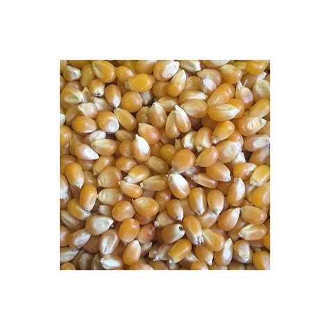 Maïs Grains 25 Kg Ets Walch