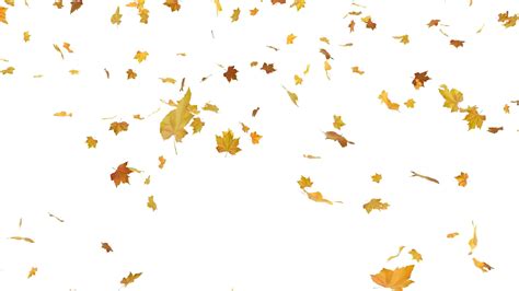 Download Falling Leaf Free Photo Png Hq Png Image Freepngimg