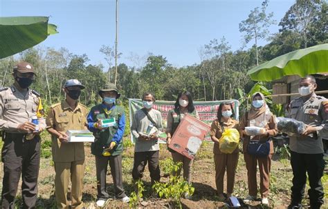 Petani Di Sanggau Diajari Membuat Pestisida Nabati Dari Daun Sirsak Dan