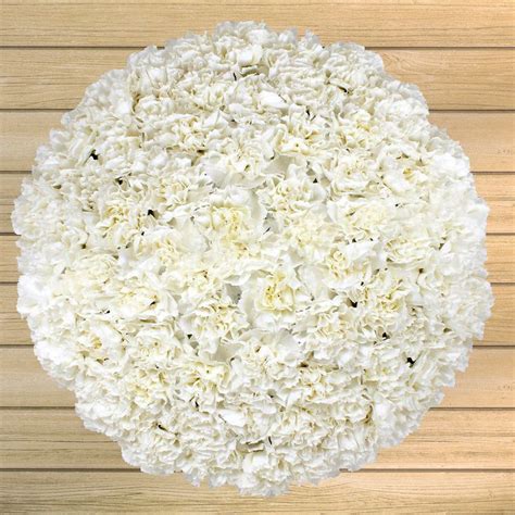 Costco flowers are ideal for large events such as weddings, sweet sixteen parties, and other occasions that traditionally feature fresh flowers. 100-stem Carnations | Costco flowers, Carnations, Bulk roses