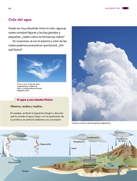 Libro De Ciencias Naturales 4 Grado 2019 Libros Favorito