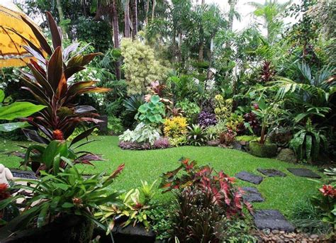 25 New Tropical Garden Design Everything You Need To Know