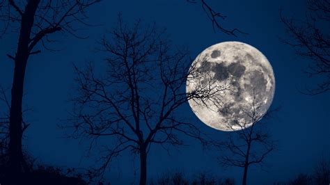 X Full Moon K Wallpaper Hd Nature K Wallpapers Images Images Porn Sex Picture