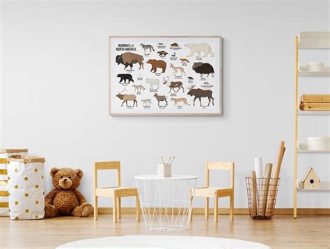 Mammals Of North America Poster Etsy