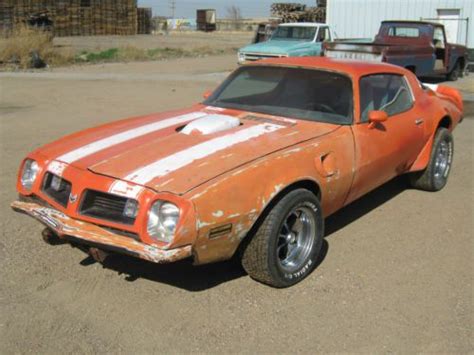 2 car quality 100% steel garage metal building equipment storage shed Sell used 1975 PONTIAC FIREBIRD TRANS-AM in Garden City ...