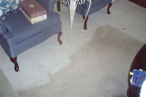 Pacific carpet care is located in northridge city of california state. Burbank Carpet Cleaning | Carpet Cleaners Burbank CA ...
