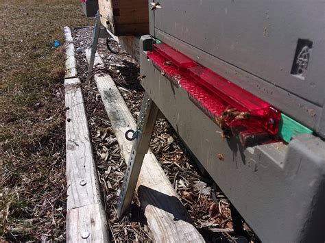 Have the rows of organic honey jars at the farmers market got you thinking about starting your own backyard beehive? Guardian Beehive Entrances, went out this morning and put ...