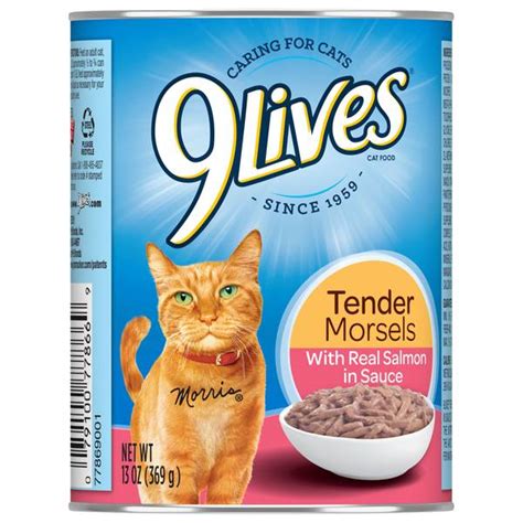 9 Lives 13 Oz Tender Morsels With Salmon Cat Food 10079100778666 Blains Farm And Fleet