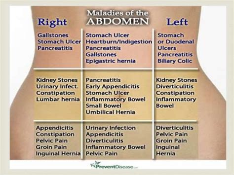 Liver Pain Location Diagram World Of Example