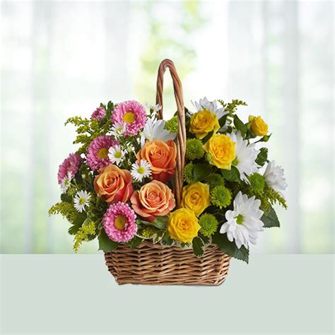 Nothing is more special than a gift for which the person has taken the today, in this article, we are going to learn about different thoughtful gifts to offer instead of flowers including Send Basket of 15 Mix Flowers Online Gifts to India ...