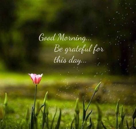 Good Morning Be Grateful For This Day Pictures Photos And Images For