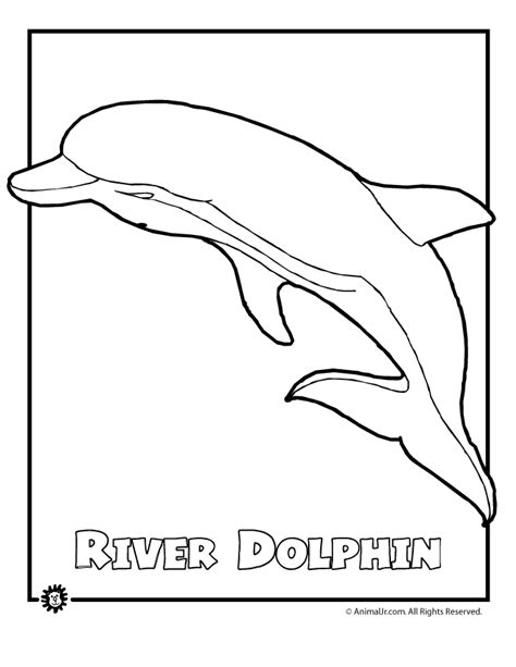 These free, printable animal coloring pages provide hours of fun for kids. River Dolphin Endangered Animal Coloring Page | Dolphin coloring pages, Animal coloring pages ...