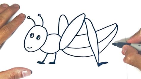 How To Draw A Grasshopper For Kids Drawings Tutorials