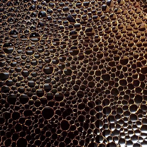 These 22 Photos Will Help You Figure Out If You Have Trypophobia