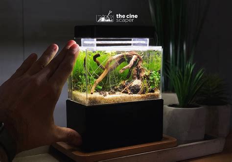 Mini Complete Tank Mini Aquarium Mini Complete Tank Official Store