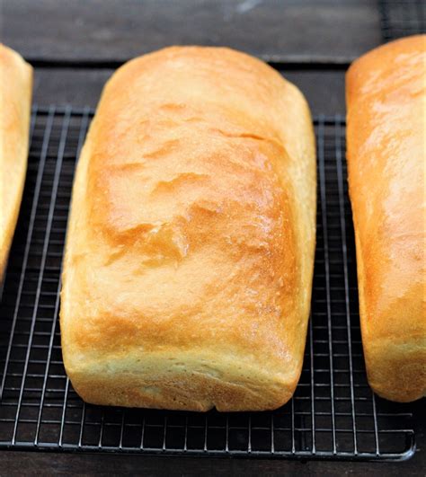 Check spelling or type a new query. Basic White Bread - My Recipe Treasures
