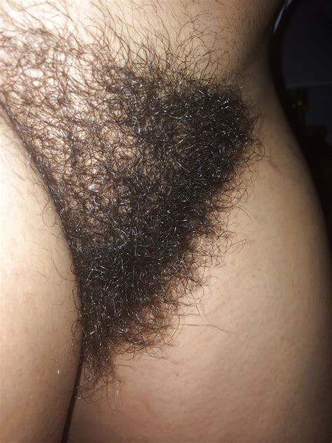 Very Hairy Nudes Free Porn