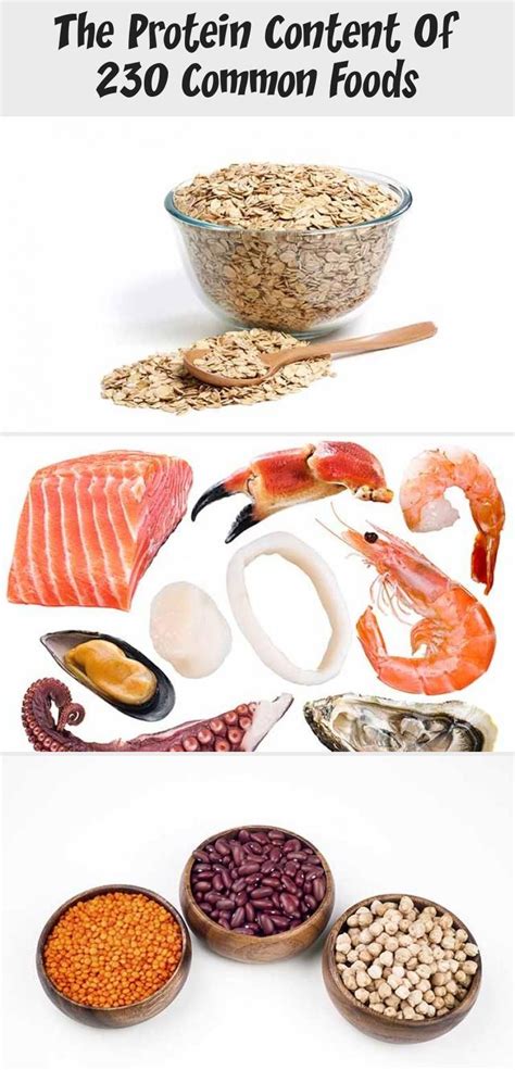 A deficiency in protein leads to muscle atrophy and impaired functioning of the body in. A Protein Chart Featuring 230 Common Foods | How much ...