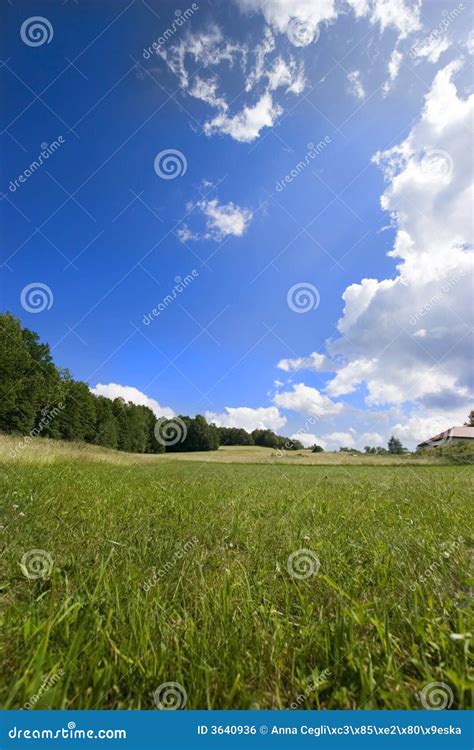 Blue Sky And Lovely Clouds Over The Summer Meadow Stock Photo Image