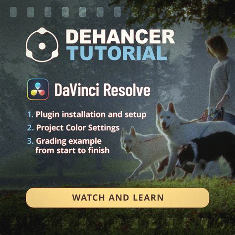 A Full Tutorial Dehancer For Davinci Resolve Dehancer Blog