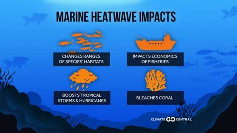 Forecasting Change More Ocean Heat Waves Causing A Wide Range Of