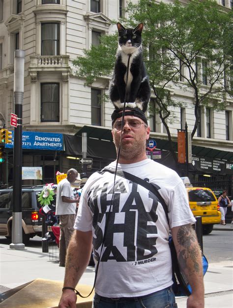 man with cat sitting on top of his head … flickr