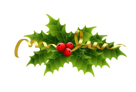 Holly Berries Vector Design Images Vector Christmas Holly Berries And