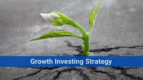 Growth Investing Strategy Simple And Complete Understanding
